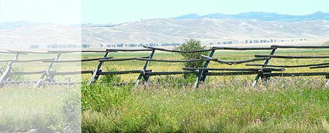 fence and mountain range
